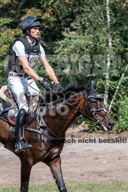 De Peelbergen (August 2020)