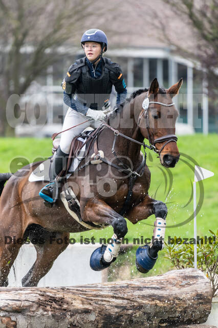 Goldene Schärpe 2020 - Pferde