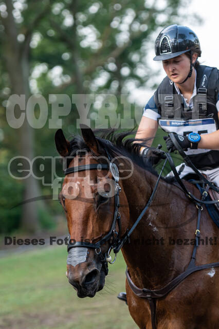 De Peelbergen (August 2020)