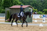 Westerstede Horse Trials 2021