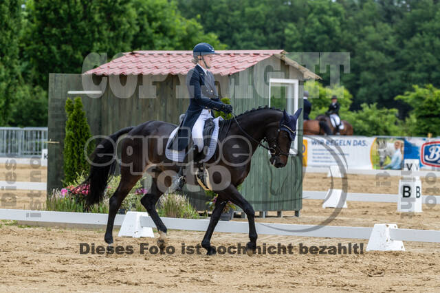 Westerstede Horse Trials 2021