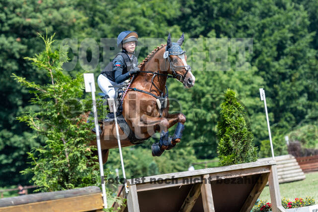 Goldene Schärpe 2021 - Ponys