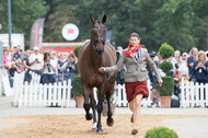 FEI European Championship Eventing 2019