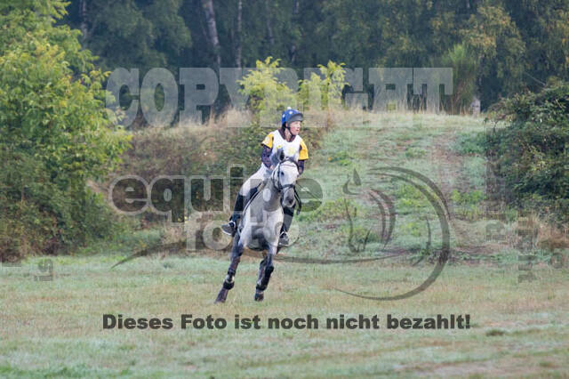 Vielseitigkeitsturnier RSV St. Hubertus Wesel Obrighoven