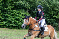 Goldene Schärpe 2021 - Ponys