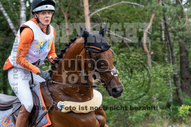 Late-Entry Vielseitigkeit Hamminkeln/Wesel (01.+02.08.2020)