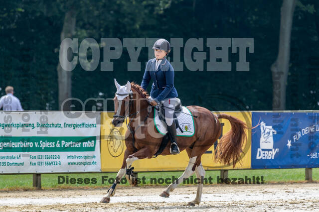 Goldene Schärpe 2021 - Ponys