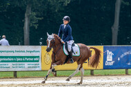 Goldene Schärpe 2021 - Ponys