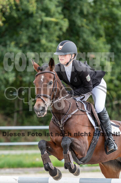 Late-Entry-Vielseitigkeit Langenfeld (06.+07.07.2020)