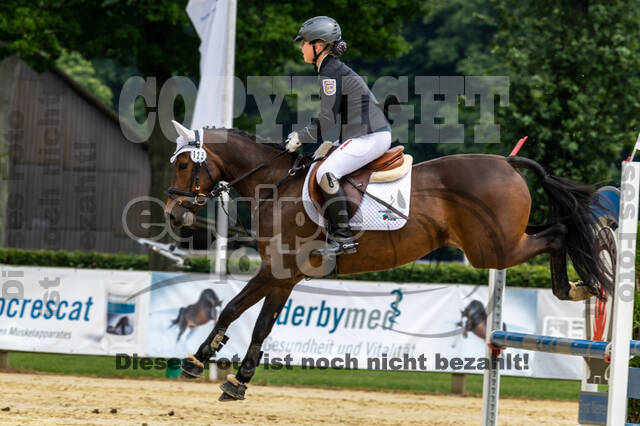 Goldene Schärpe 2021 - Ponys