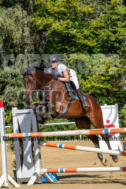 RFV Dinslaken-Hiesfeld (Herbstturnier)