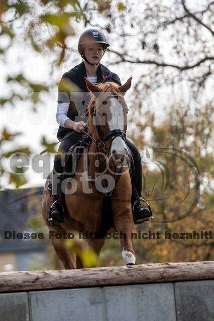 IGV Lehrgang der Sieger der Cups mit Frank Ostholt