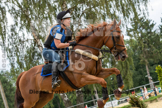 Hunter Geländetraining 10.07.2021 (Sonsbeck)