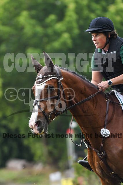 Late-Entry-Vielseitigkeit Langenfeld (11.+13./14.06.2020)