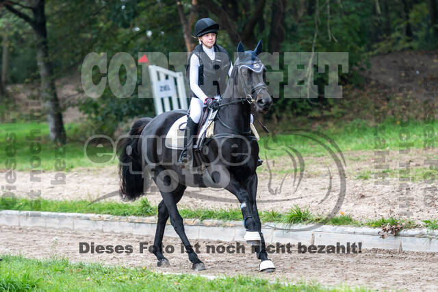 Goldene Schärpe 2020 - Pferde