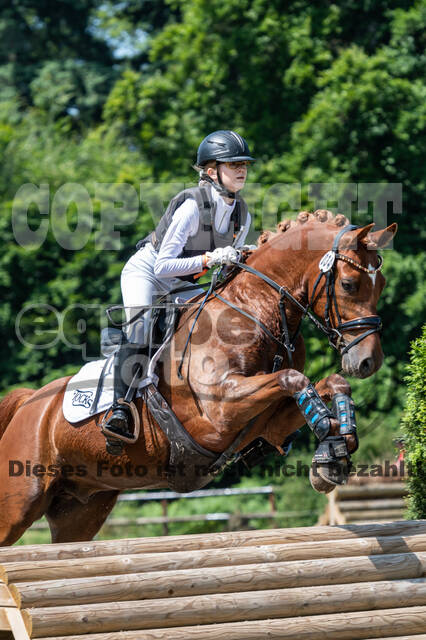 Goldene Schärpe 2021 - Ponys