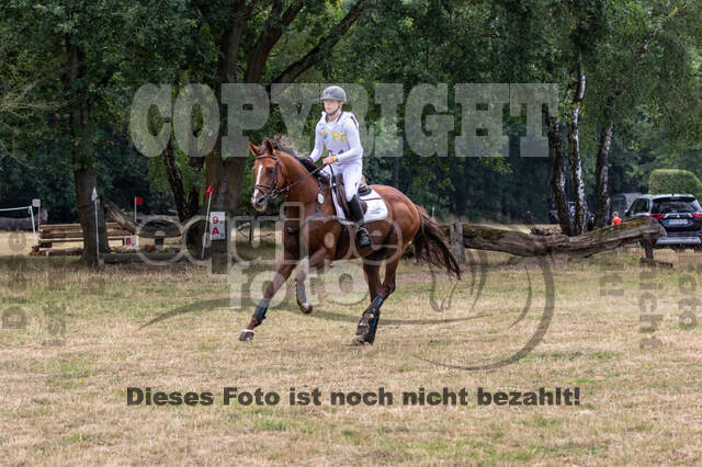 Late-Entry Vielseitigkeit Hamminkeln/Wesel (01.+02.08.2020)
