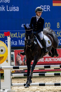 Goldene Schärpe 2021 - Ponys