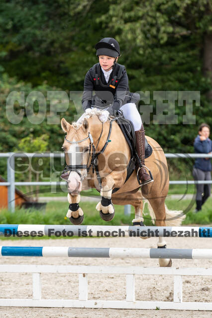 Late-Entry-Vielseitigkeit Langenfeld (06.+07.07.2020)