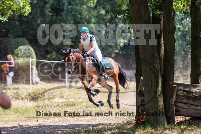 Late-Entry Vielseitigkeit Hamminkeln/Wesel (01.+02.08.2020)