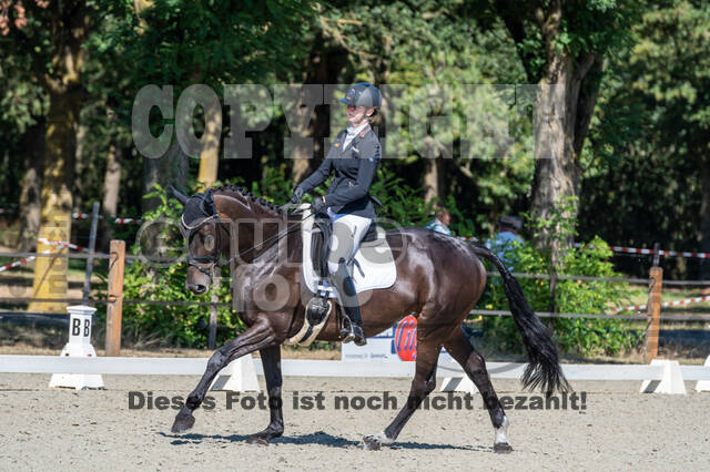 Kronenberg - De Peelbergen (August 2020)