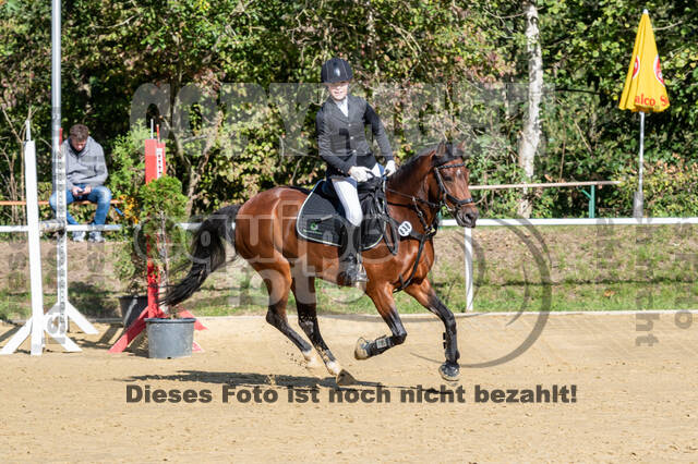 RFV Dinslaken-Hiesfeld (Herbstturnier)