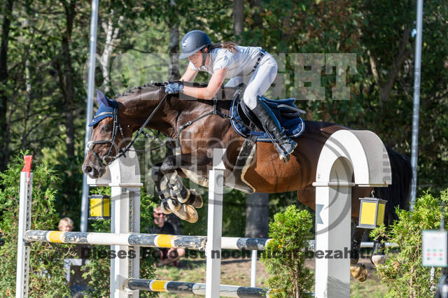 RFV Dinslaken-Hiesfeld (Herbstturnier)