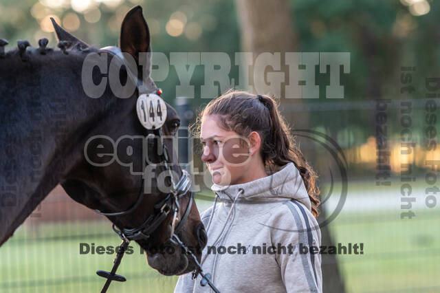 Deutsche Meisterschaft Vielseitigkeit (Luhmühlen)