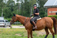 Hunter Geländetraining 10.07.2021 (Sonsbeck)