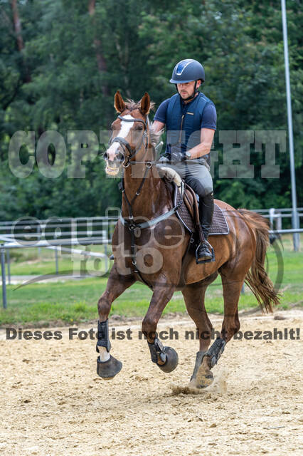 Hunter Geländetraining 10.07.2021 (Sonsbeck)