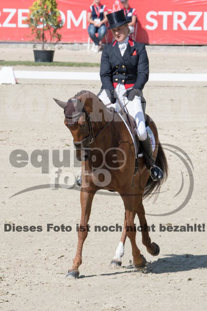 FEI European Championship Eventing 2017