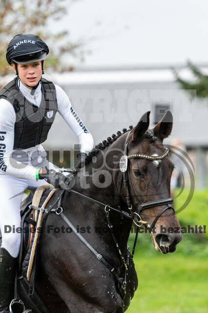 Goldene Schärpe 2020 - Pferde