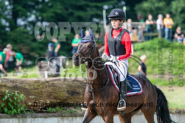 Goldene Schärpe 2021 - Ponys