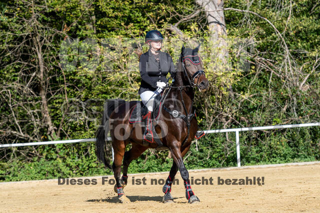 RFV Dinslaken-Hiesfeld (Herbstturnier)