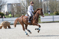 Eventing Langenfeld 2018
