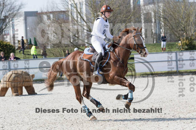 Eventing Langenfeld 2018