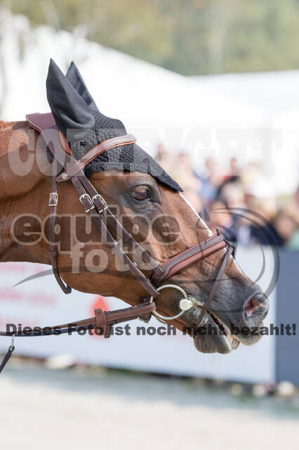 FEI European Championship Eventing 2019