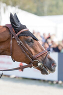 FEI European Championship Eventing 2019