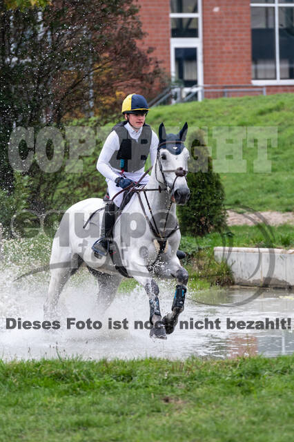 Goldene Schärpe 2020 - Pferde