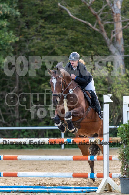 RFV Dinslaken-Hiesfeld (Herbstturnier)