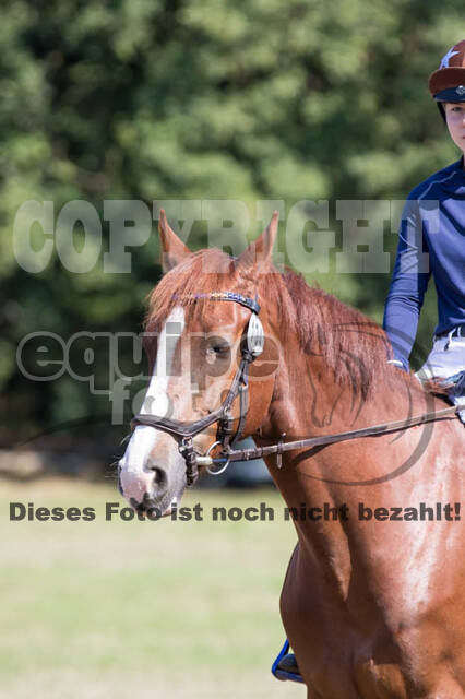 Vielseitigkeitsturnier RSV St. Hubertus Wesel Obrighoven
