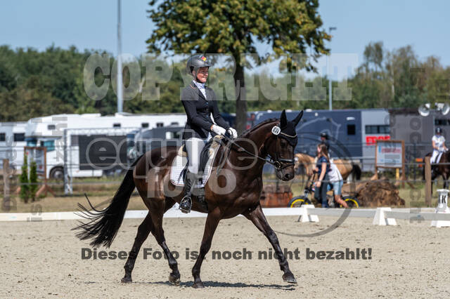 Kronenberg - De Peelbergen (August 2020)