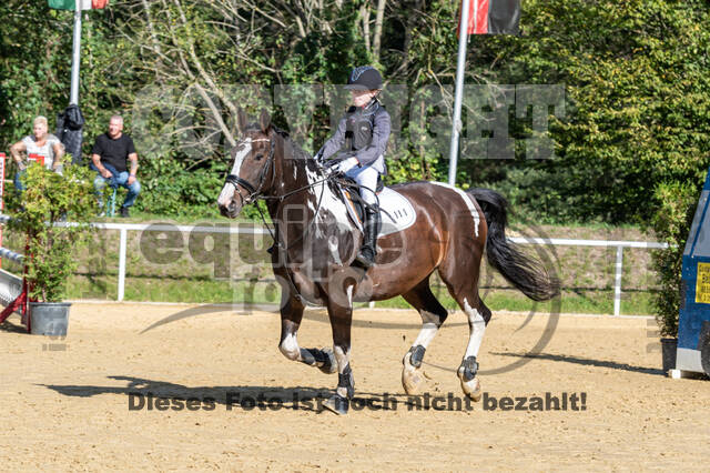 RFV Dinslaken-Hiesfeld (Herbstturnier)