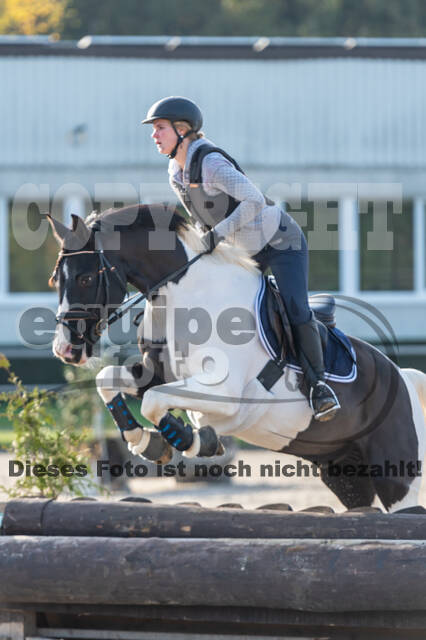 IGV Lehrgang der Sieger der Cups mit Frank Ostholt