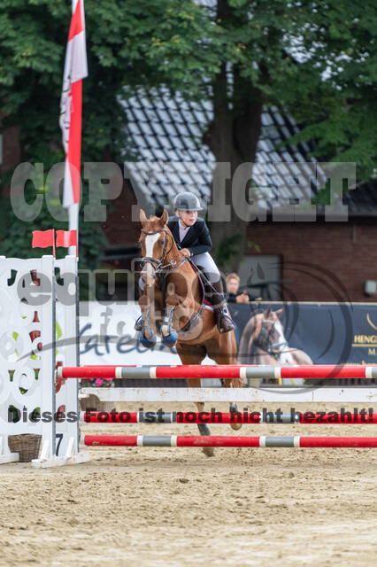 Goldene Schärpe 2021 - Ponys