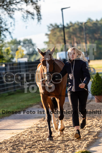 Deutsche Meisterschaft Vielseitigkeit (Luhmühlen)
