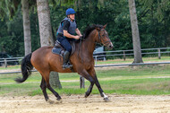 Hunter Geländetraining 10.07.2021 (Sonsbeck)