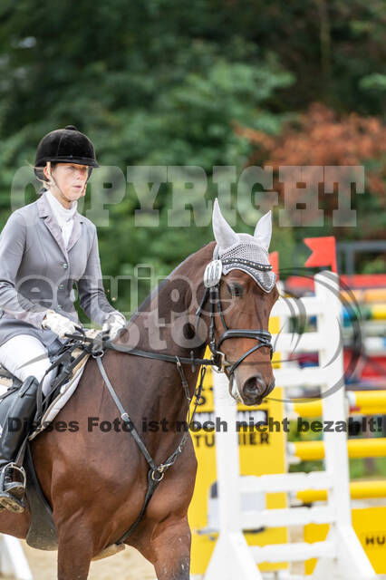 Vielseitigkeit RSV Wesel Obrighoven (26.+27.09.2020)