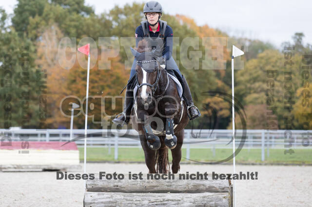 IGV Lehrgang der Sieger der Cups mit Frank Ostholt