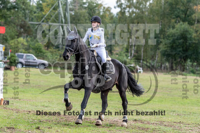 Vielseitigkeit RSV Wesel Obrighoven (26.+27.09.2020)